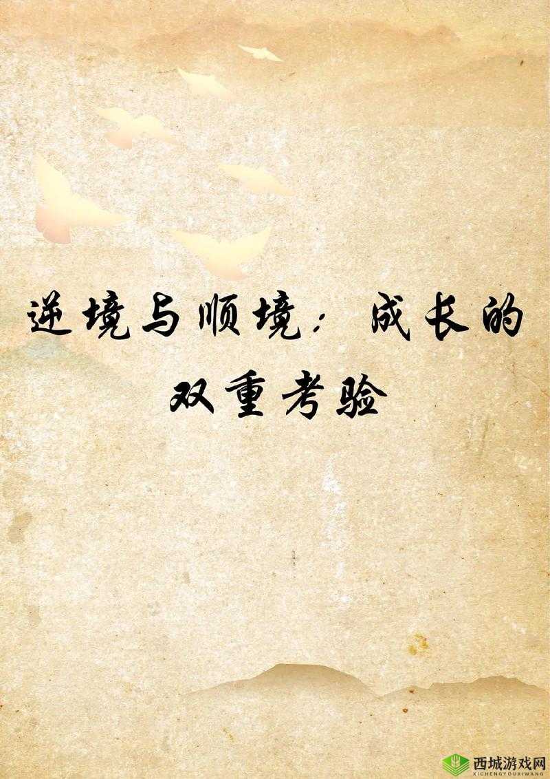 别针大师第四十关挑战,解锁智慧与耐心的双重考验